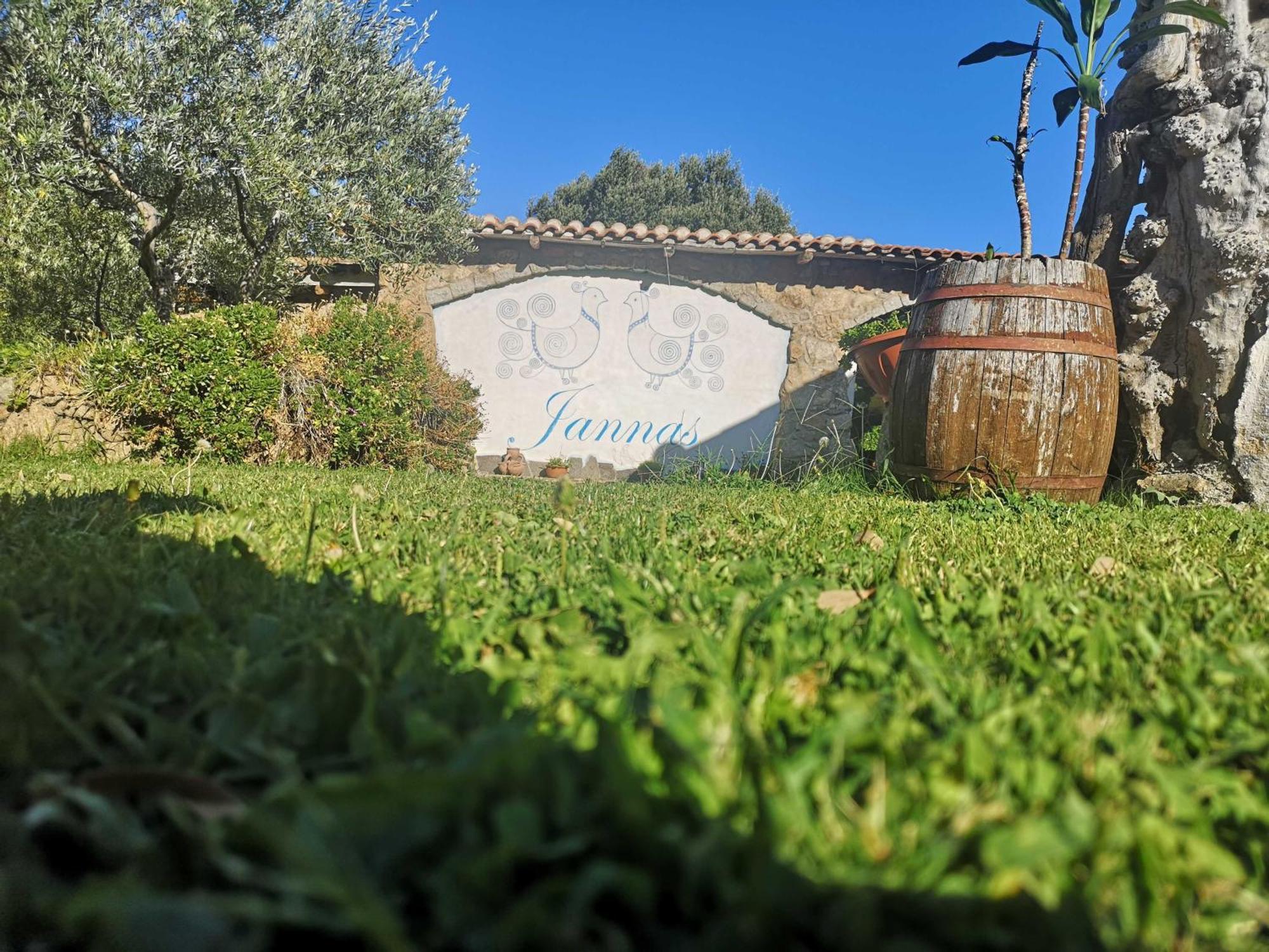 Affittcamere Jannas Orgosolo Exterior foto